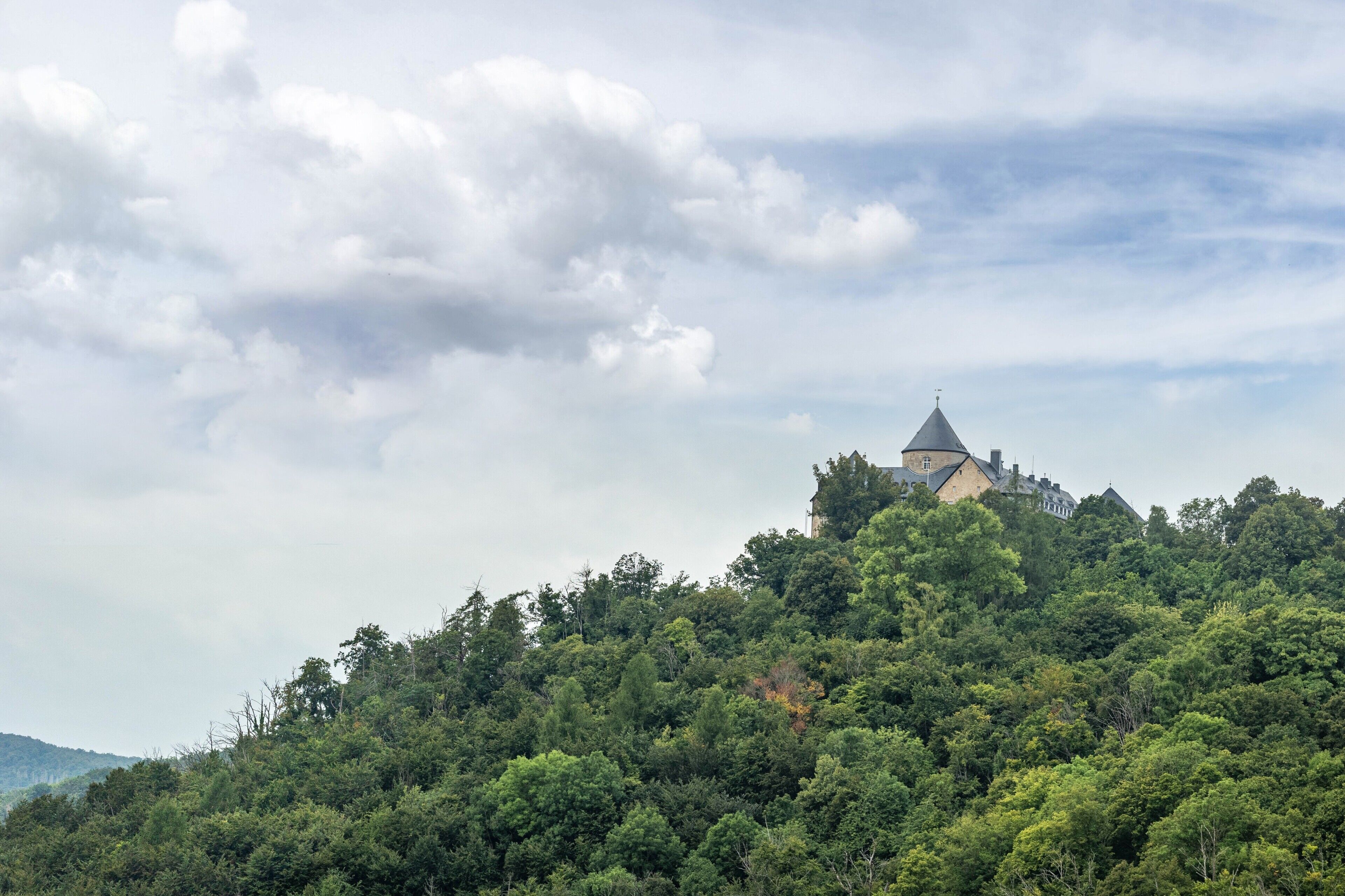 A castle on a hill with dense forest, a clear sky, and a distant mountain.