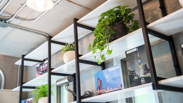 Un intérieur moderne avec des étagères métalliques, dont certaines sont ornées de plantes et d’un tableau représentant un paysage urbain.