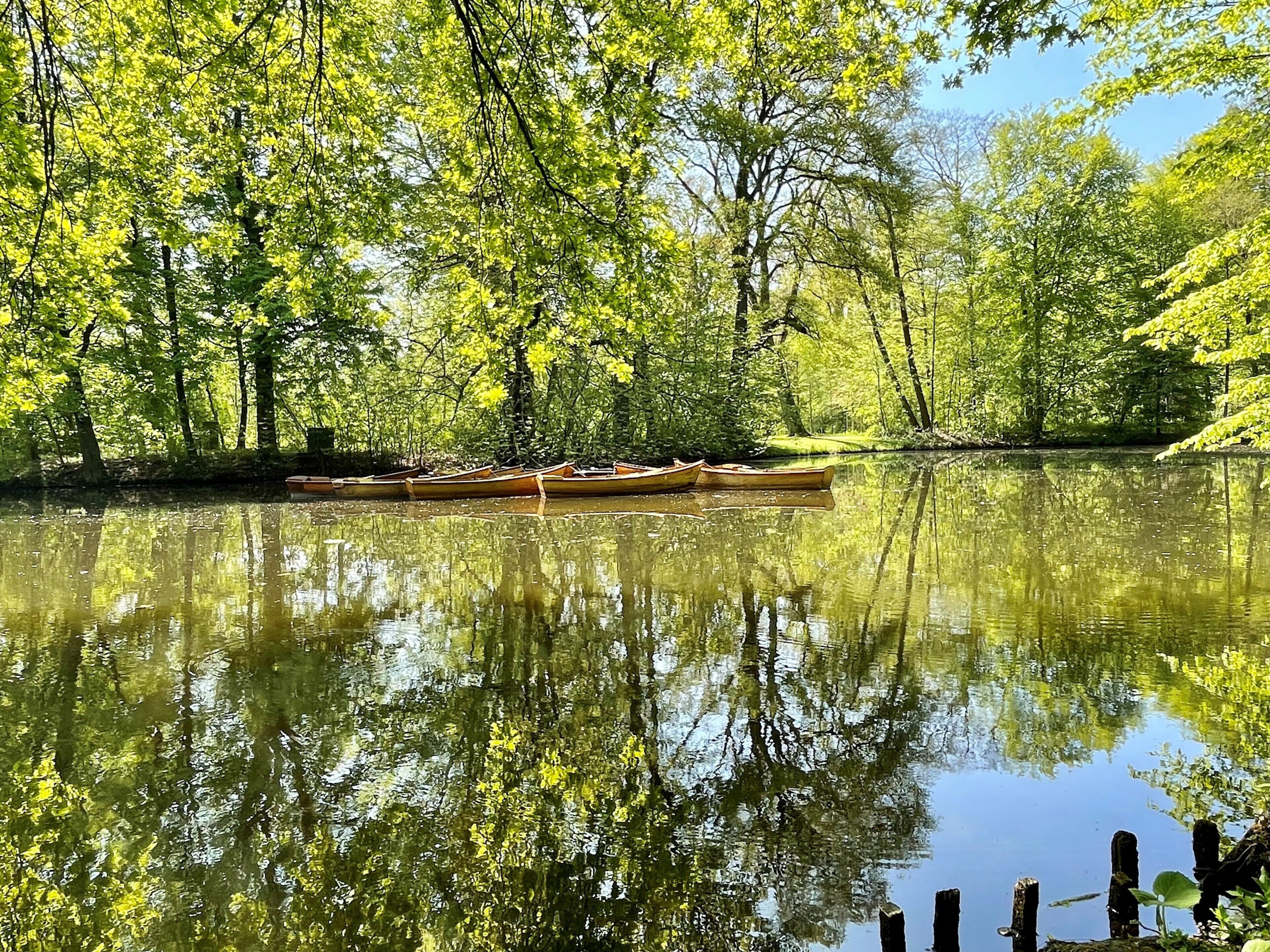 Un río tranquilo con reflejos de árboles y una hilera de canoas.