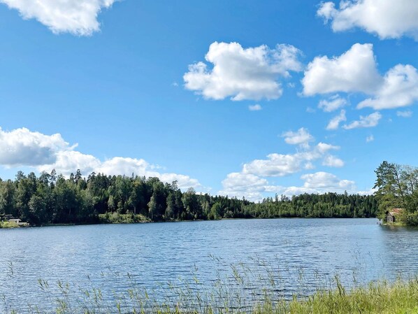 Un lago tranquillo con una riva alberata e un cielo sereno.