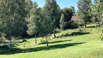 House | Property grounds