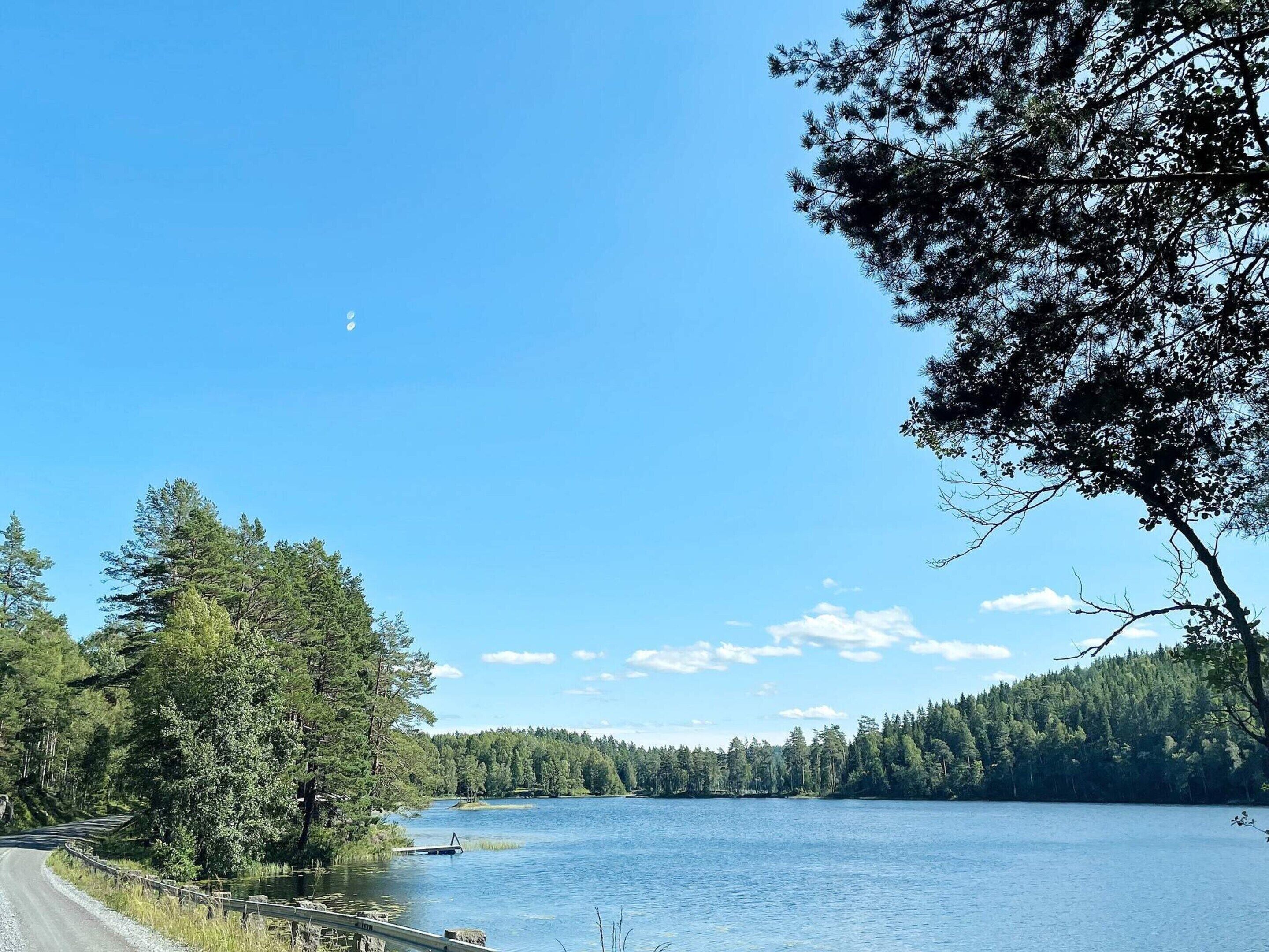A road curving alongside a lake with a dock, surrounded by dense forest.