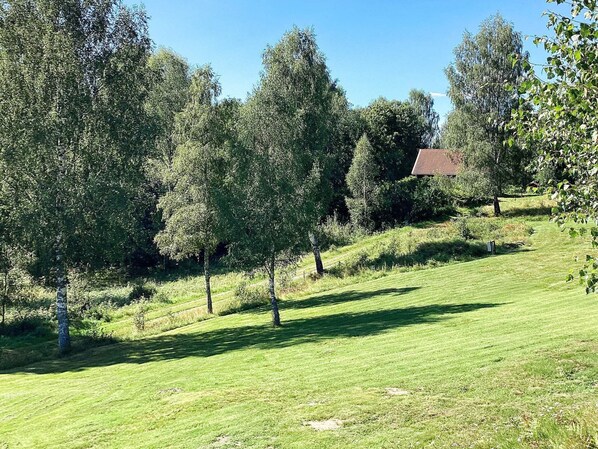 A grassy area with trees and a building with a red roof. - 4 Person Holiday Home in Bengtsfors (Bengtsfors)