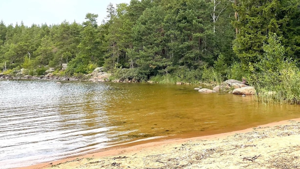 A natural landscape with a calm body of water, surrounded by dense forest and rocky terrain. - 4 Star Holiday Home in Torso (Torsö)