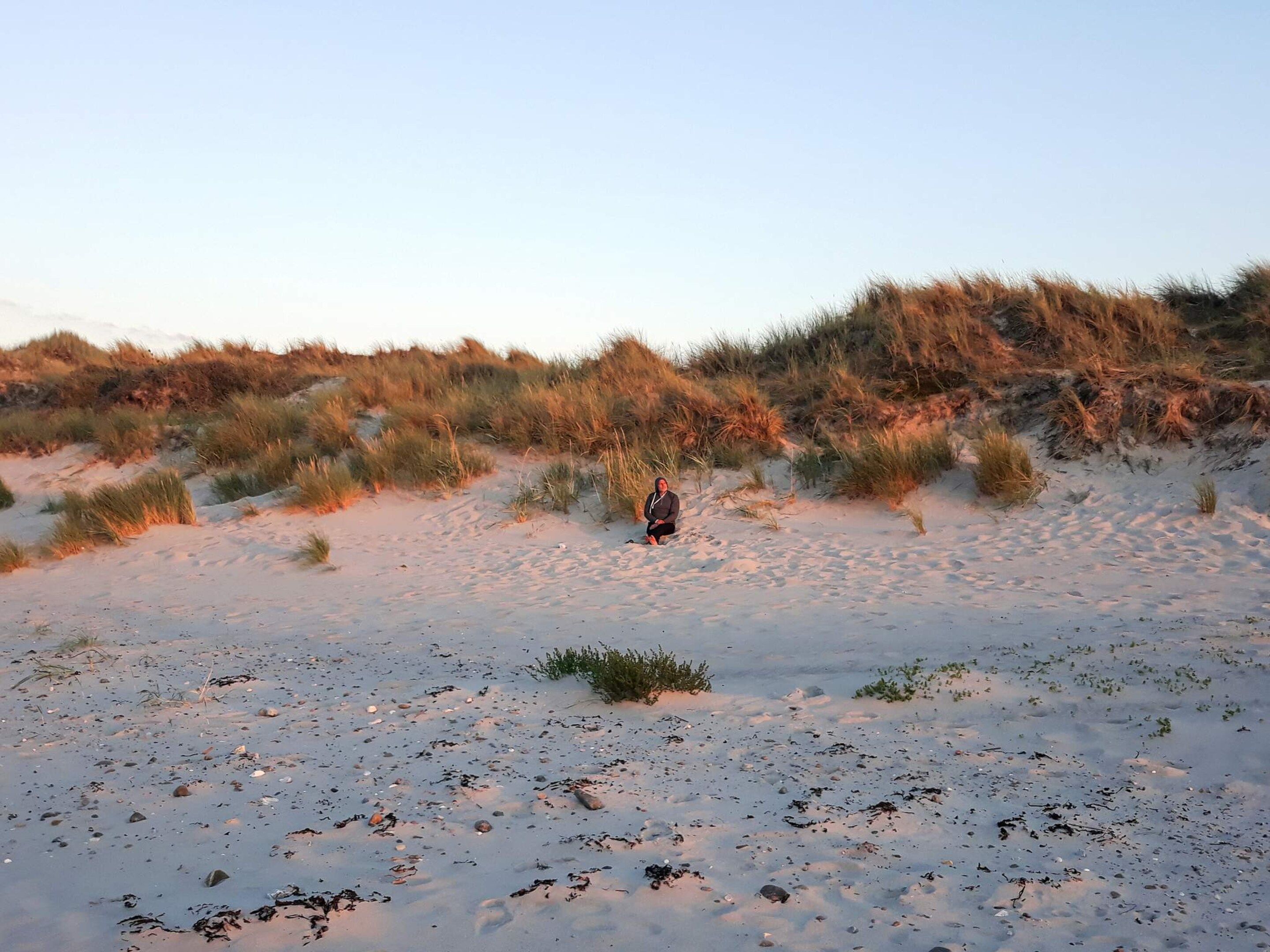A sandy beach with sparse vegetation and a person sitting in the distance.