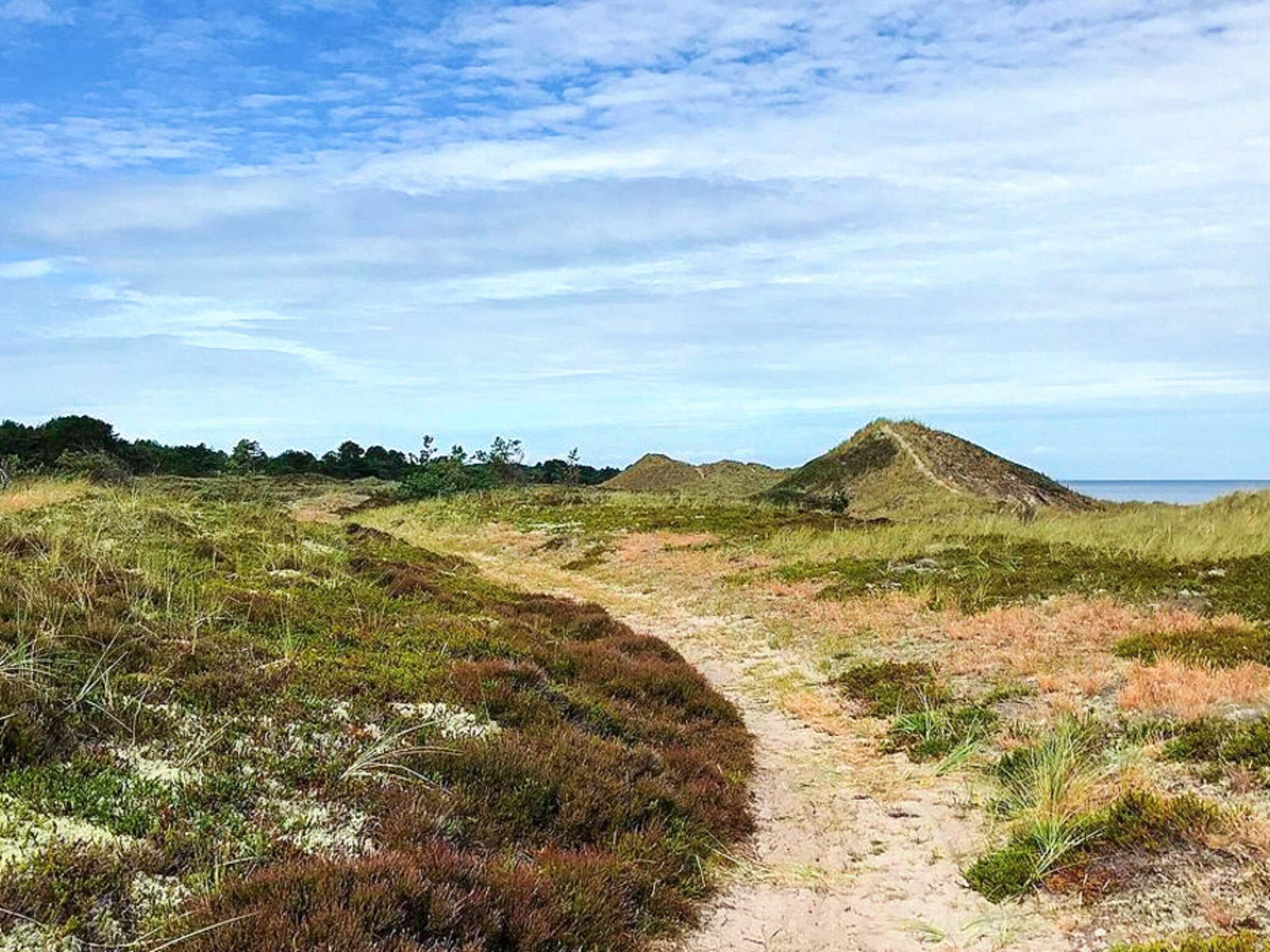 Un paisaje natural con un sendero de tierra que atraviesa terreno cubierto de hierba hacia una duna.