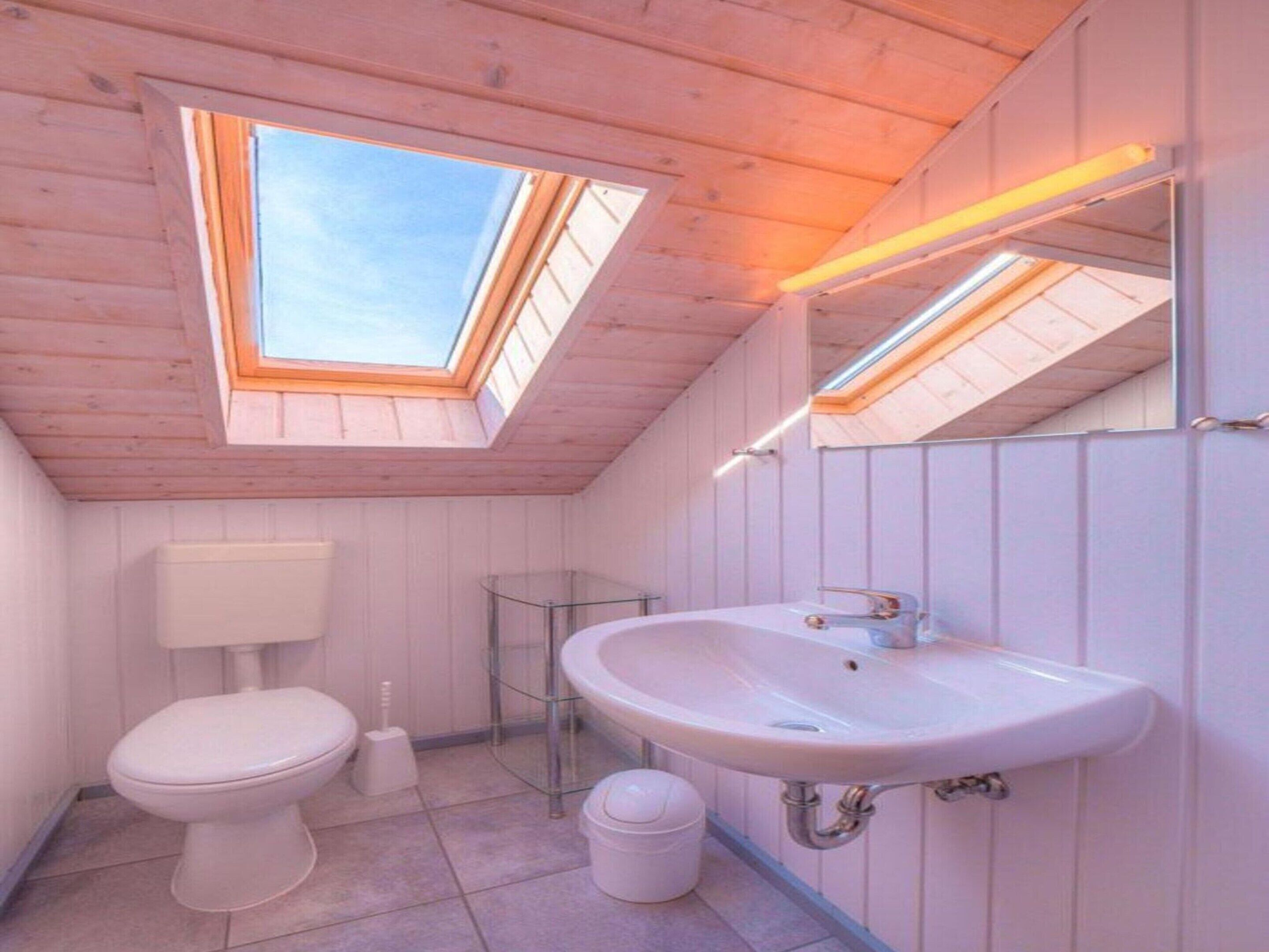 A small, modern bathroom with a skylight, a white toilet, and a white sink.