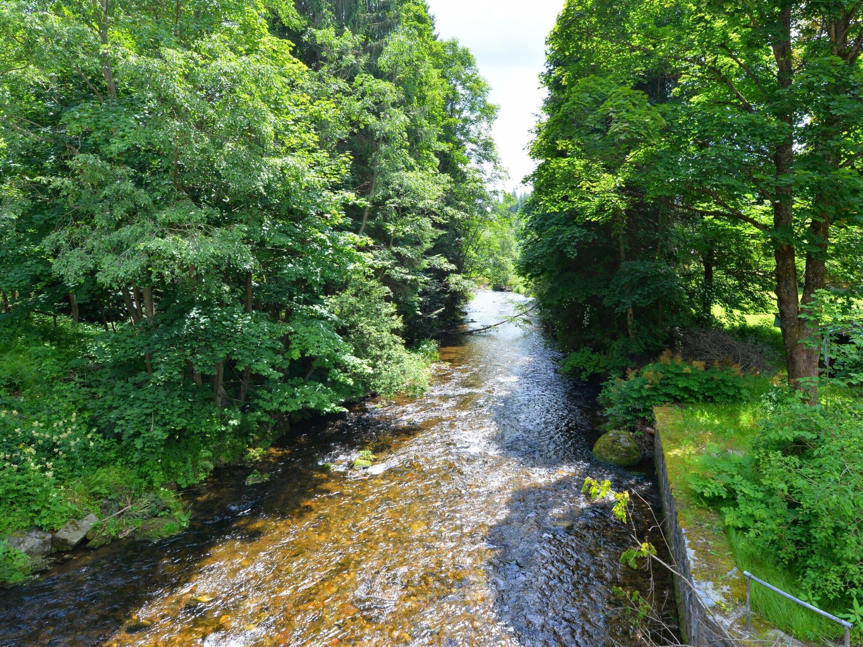 A river flowing through a densely wooded area with a stone wall on one side.