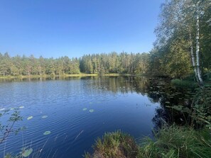 A calm lake surrounded by dense forest. - 2 Person Holiday Home in Burseryd (Burseryd)