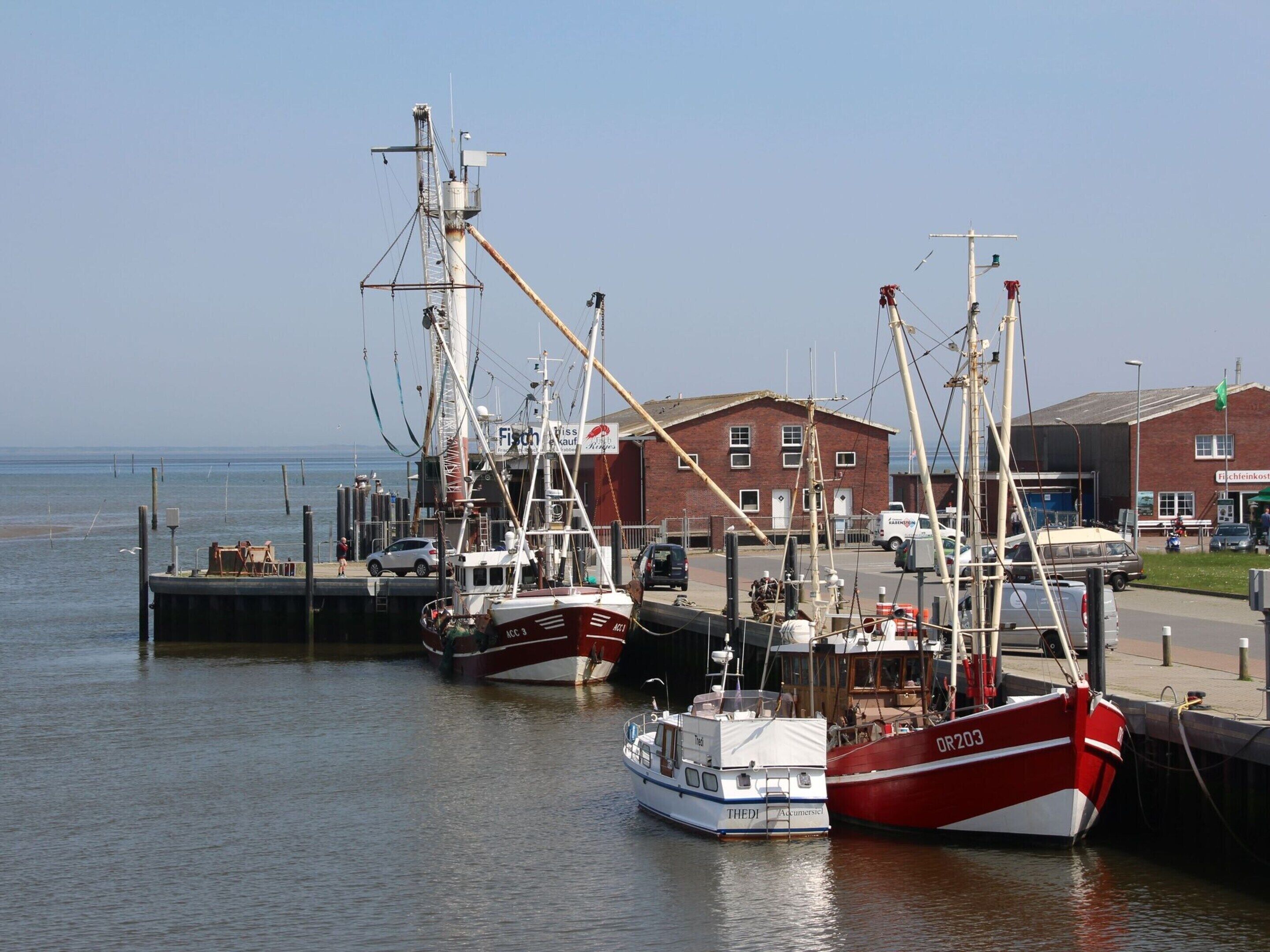 A harbor with several fishing boats docked, a red brick building, and a clear sky.