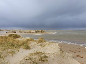 A beach with dunes and a cloudy sky.