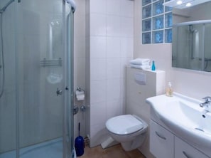 Shower, hair dryer