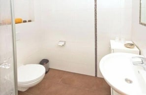 Shower, hair dryer