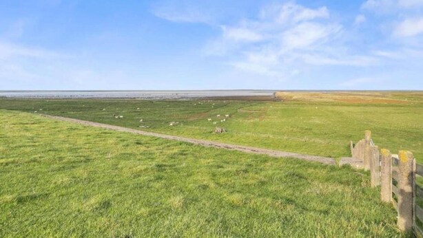 Un vaste champ ouvert, sous un ciel dégagé, avec un chemin de terre et une clôture en pierre.