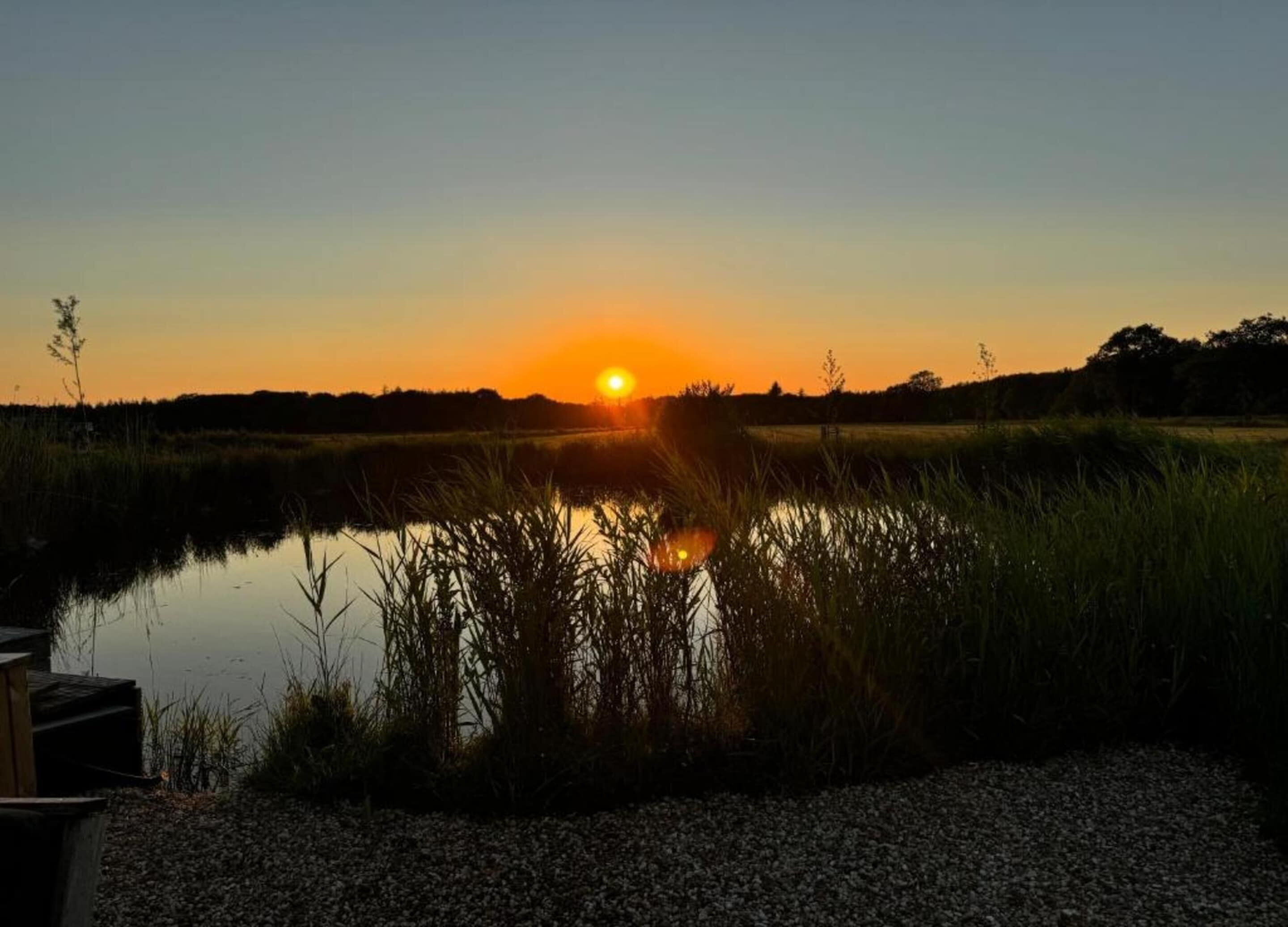 En solnedgång över ett stilla vatten med vass i förgrunden och en träkonstruktion till vänster.