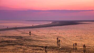 House | View from property