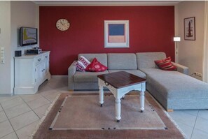 智能电视、DVD 播放器