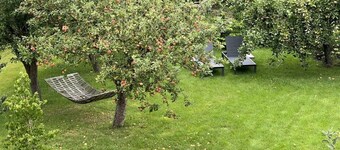 Papenbroock 4 Comfortable holiday residence