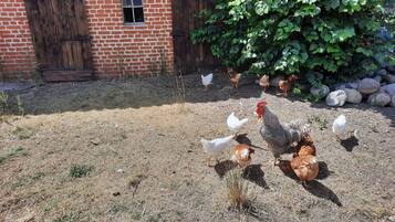 House | View from property