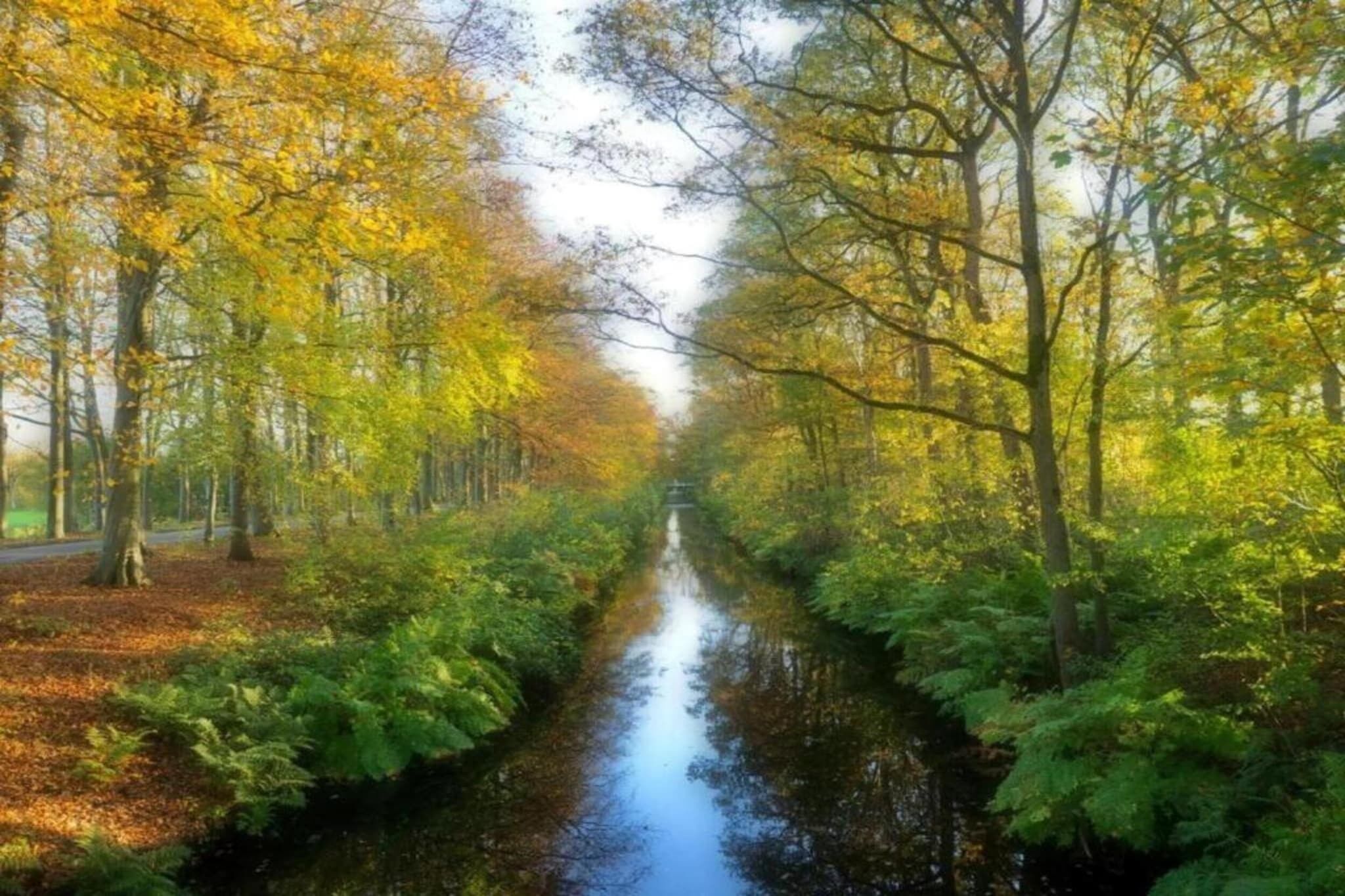 Ein schmaler Wasserweg, gesäumt von Bäumen mit Herbstlaub, ein klarer Himmel und eine Straße auf der linken Seite.
