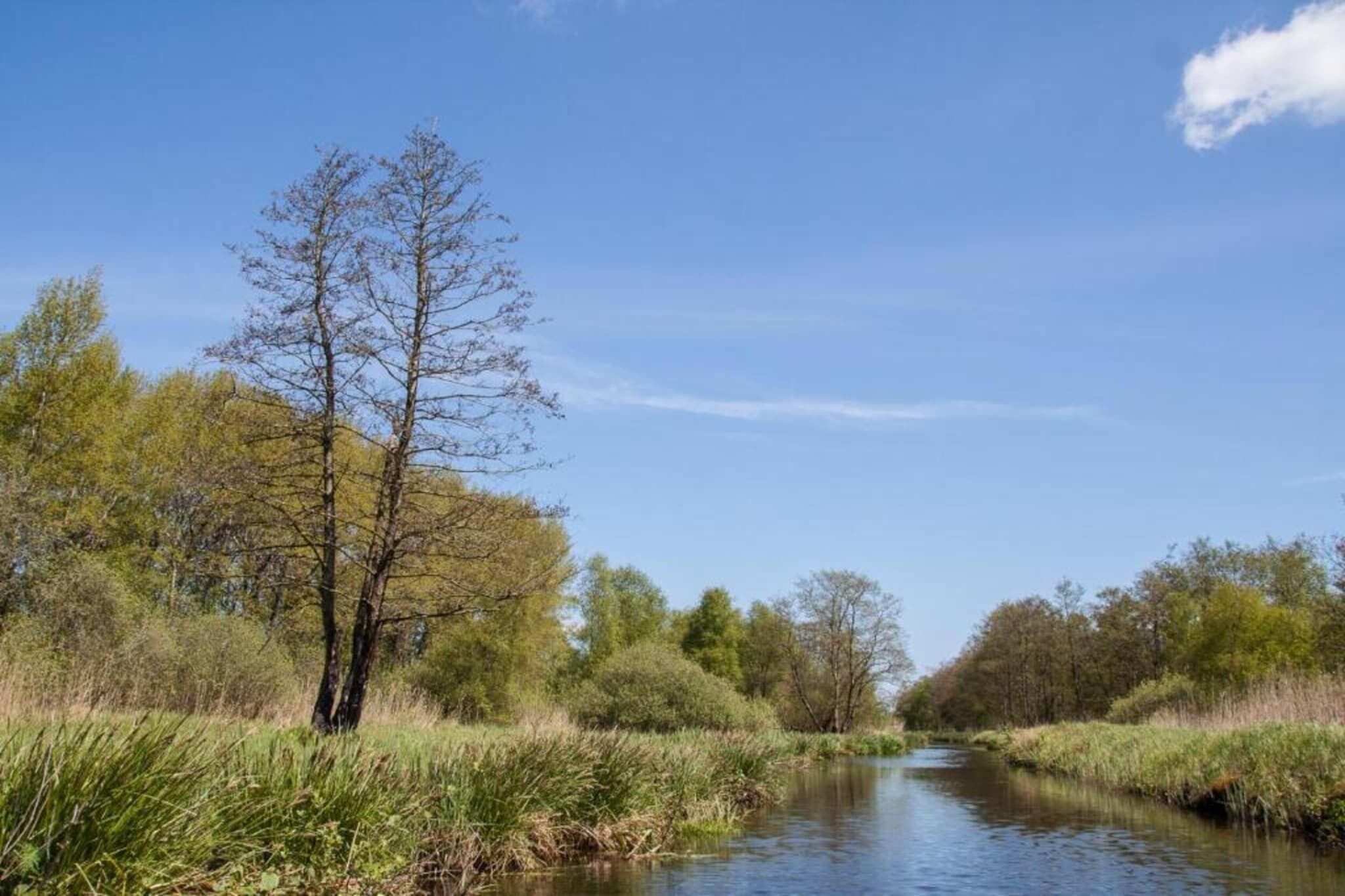 Une rivière qui traverse un paysage naturel, bordée d’arbres et de végétation de part et d’autre.