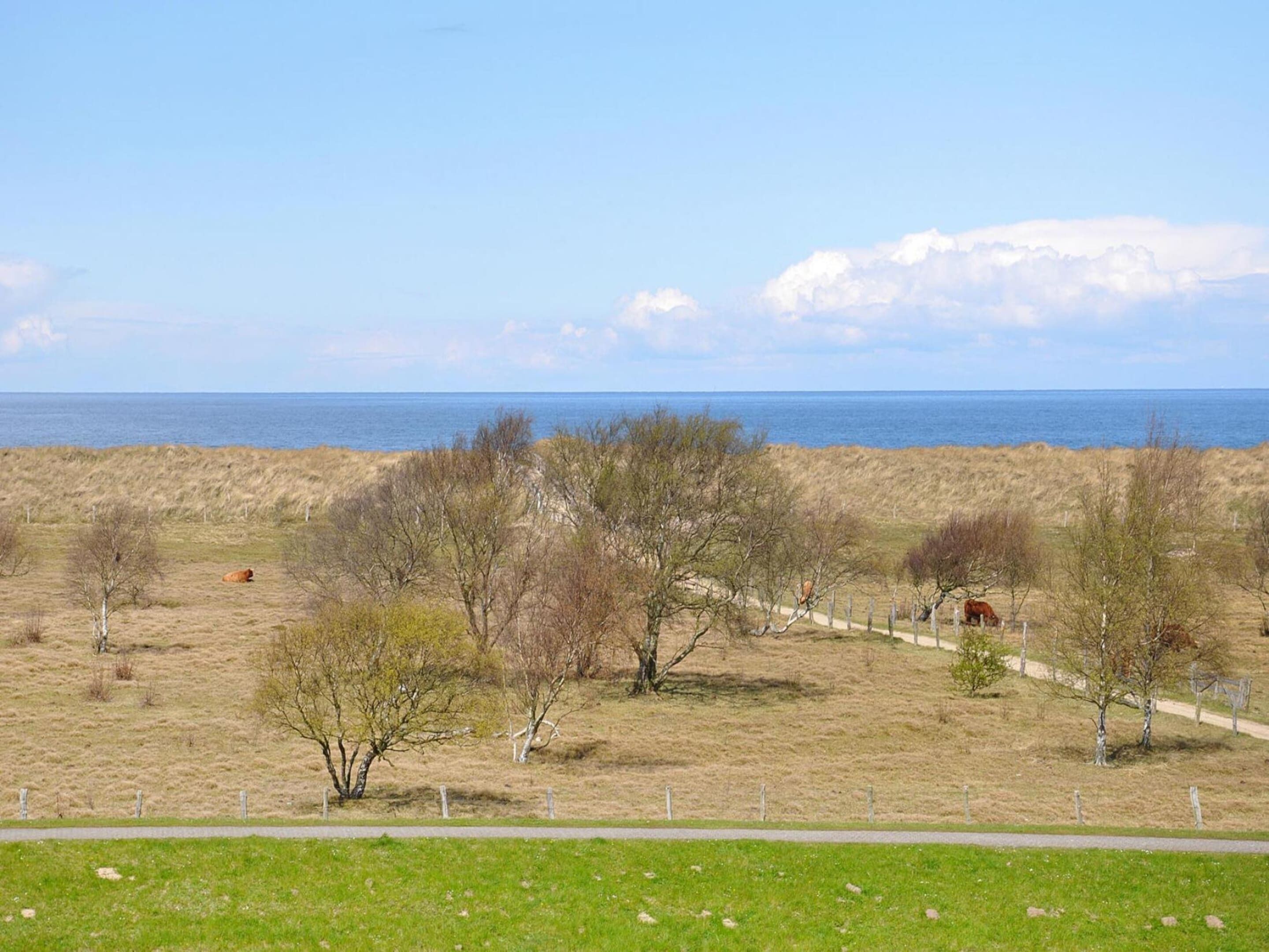 A coastal landscape with grassy fields, trees, and a path leading to the sea.