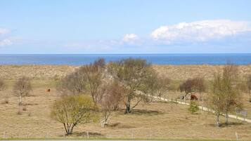 A coastal landscape with grassy fields, trees, and a path leading to the sea.