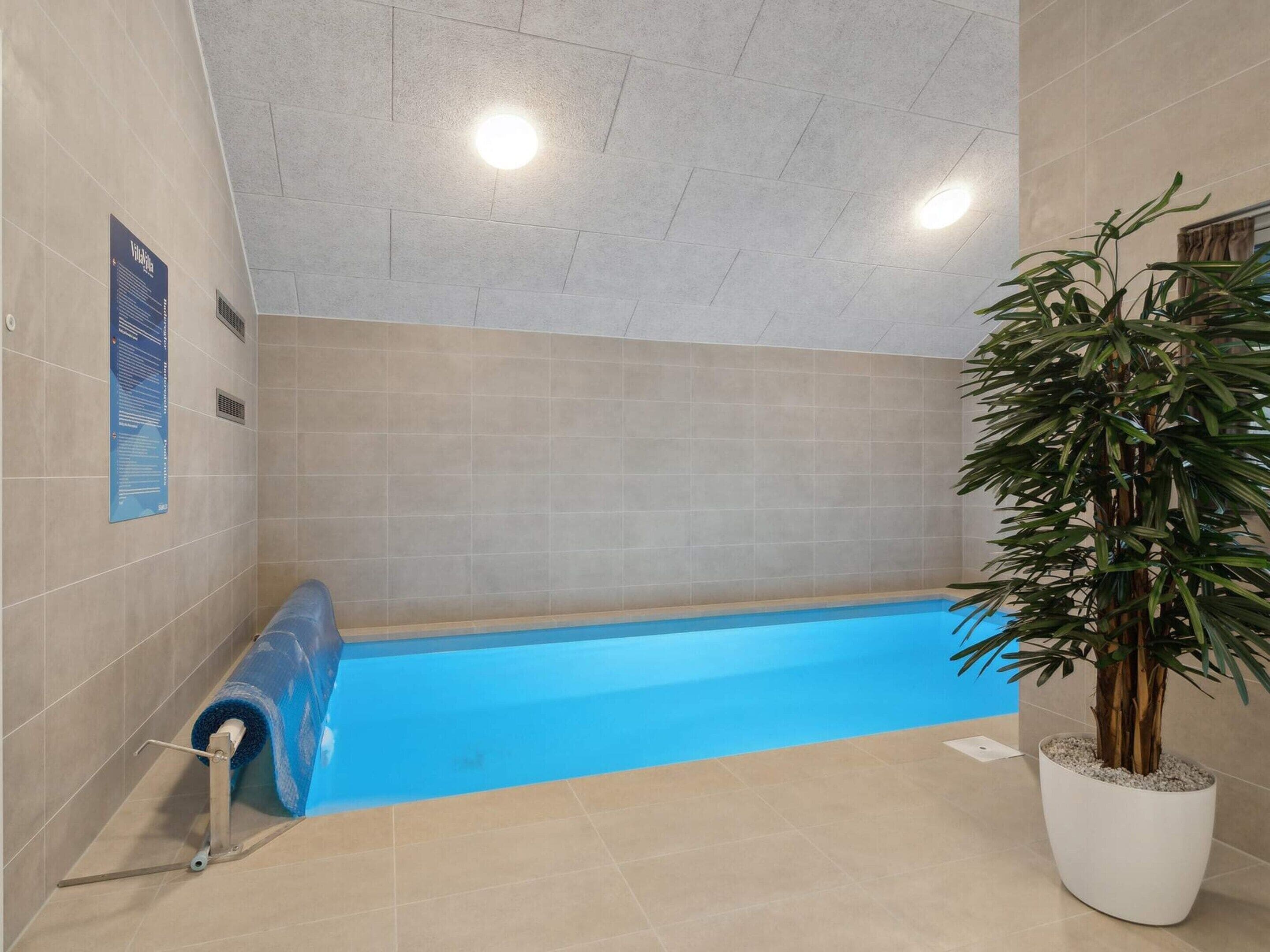 Casa | Piscina | Piscina interna, piscina externa