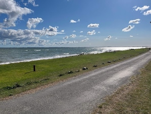 A coastal road with a grassy area and a view of the sea.