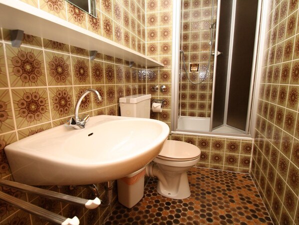 Une salle de bain avec un lavabo, des toilettes et une douche.