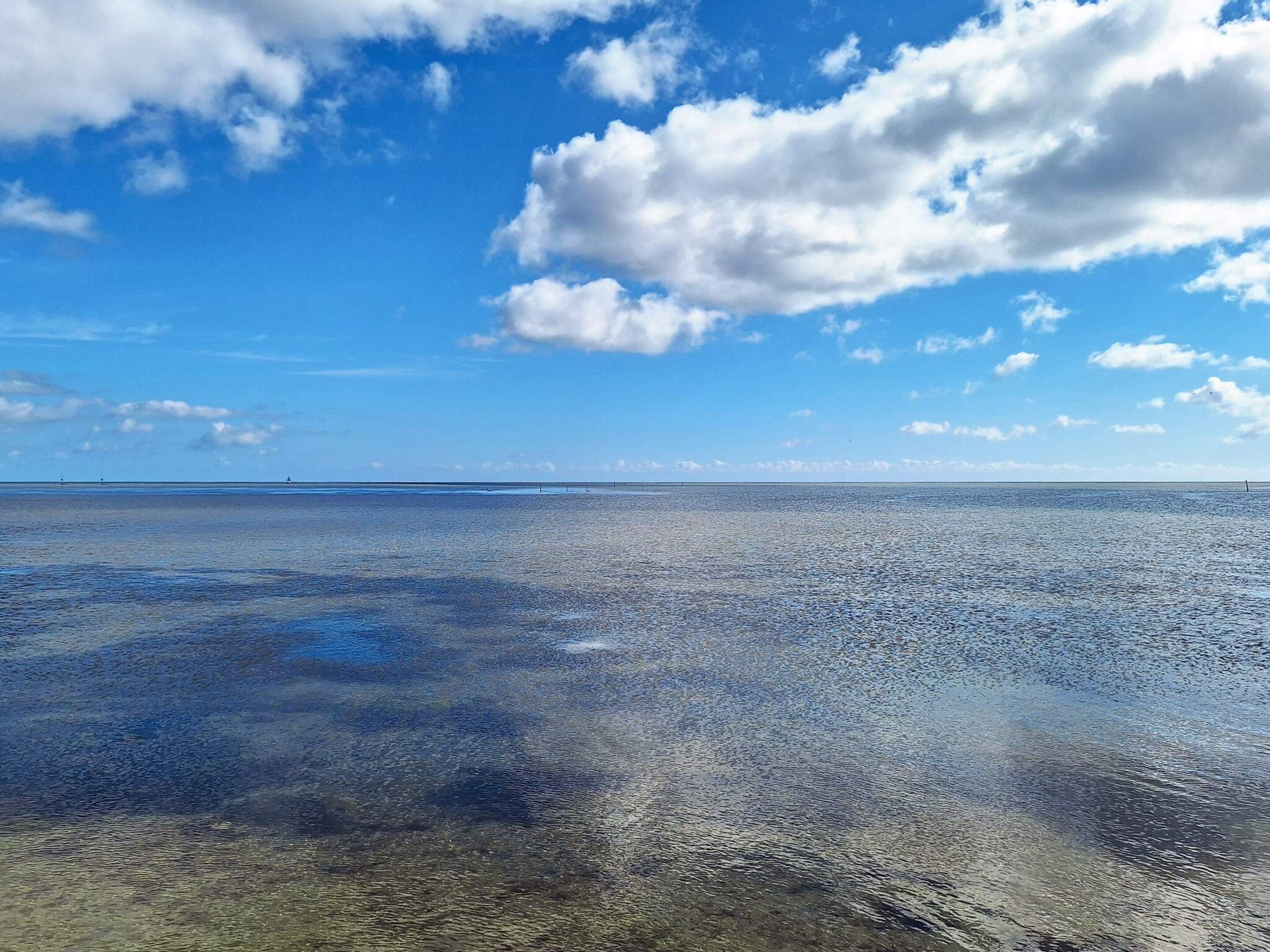 A clear view of a coastal area with calm waters and a distant horizon.