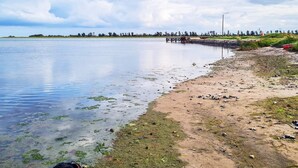 A calm lake with a sandy shore, a wooden dock, and a distant tree line.