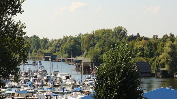 A marina with numerous boats docked, surrounded by trees and buildings. - Charmantes Appartement in Rechlin (Rechlin)