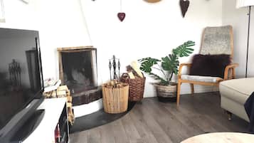 A living room with a television, a fireplace, a chair, and a potted plant.
