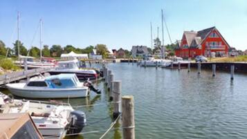 Ferienhaus | Blick von der Unterkunft