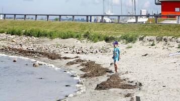 Ferienhaus | Blick von der Unterkunft