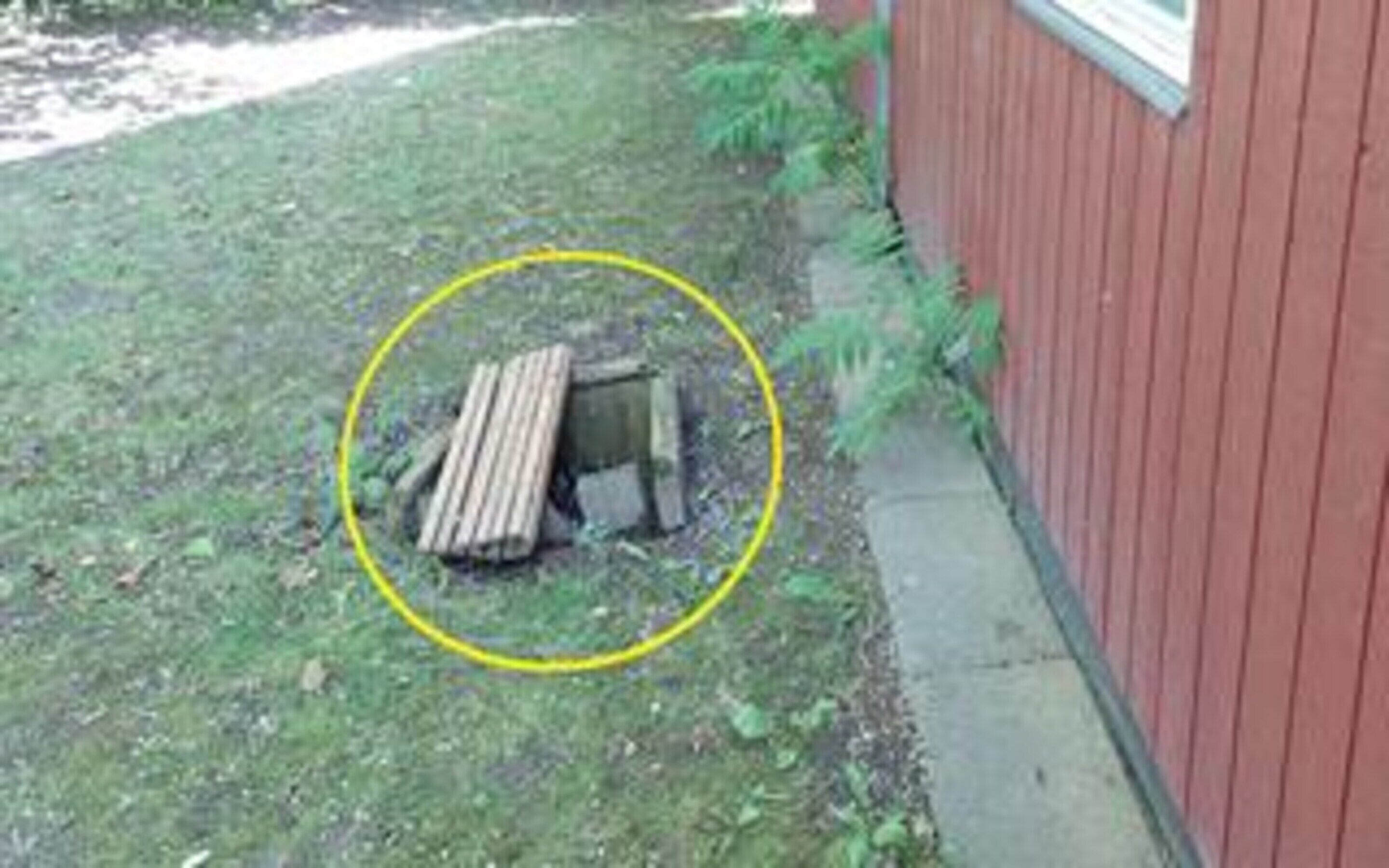 House | Property grounds