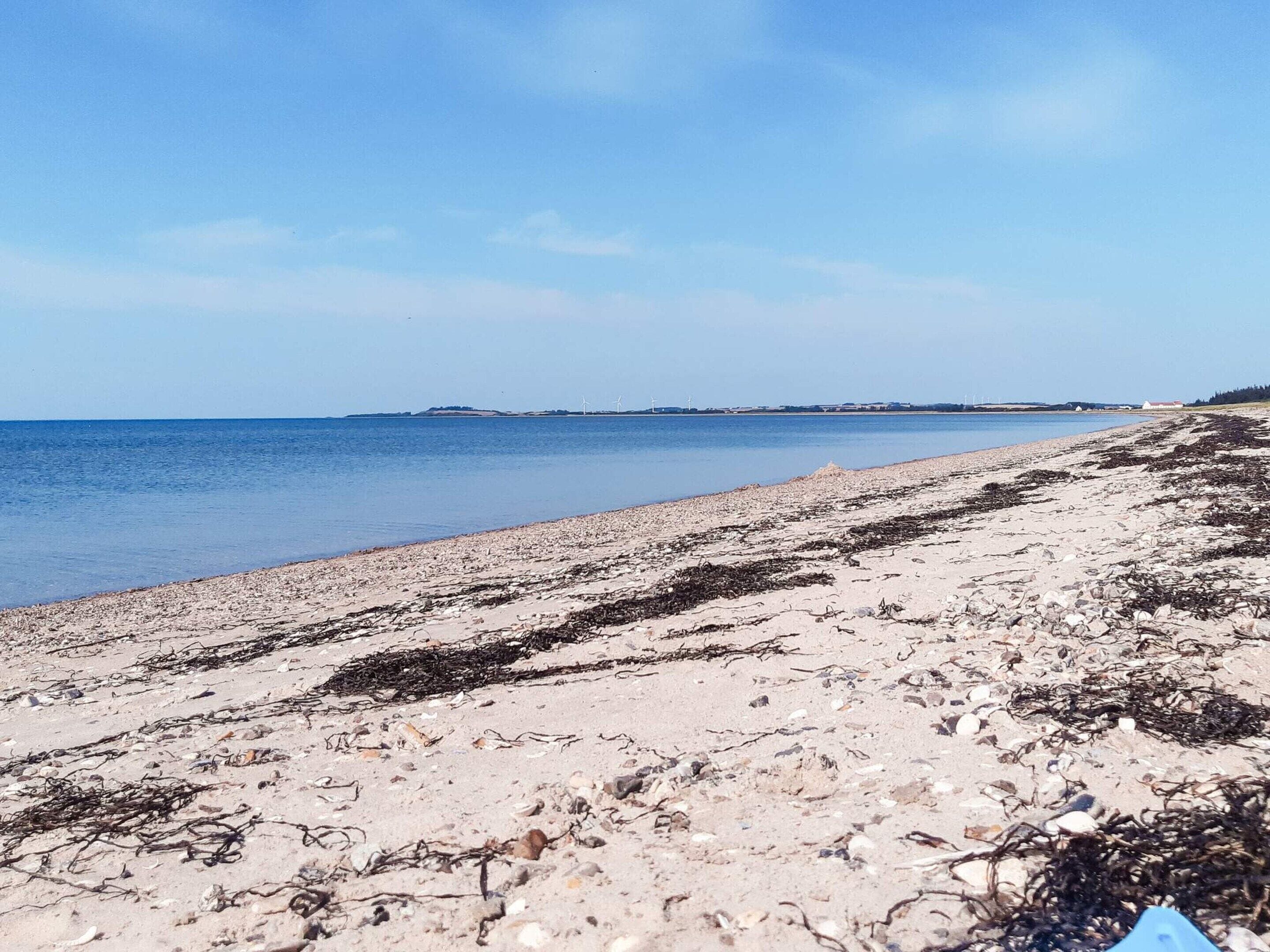 Ein Strand mit tangenbestreutem Sand und ruhigem Wasser.