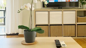 A modern living room with a flat-screen TV, a potted orchid, and a remote control on a wooden table. - Blue Coast Residence Glyfada (Glyfada)