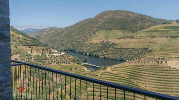 Vistes panoràmiques des d'un balcó sobre vinyes, un riu i turons allunyats.