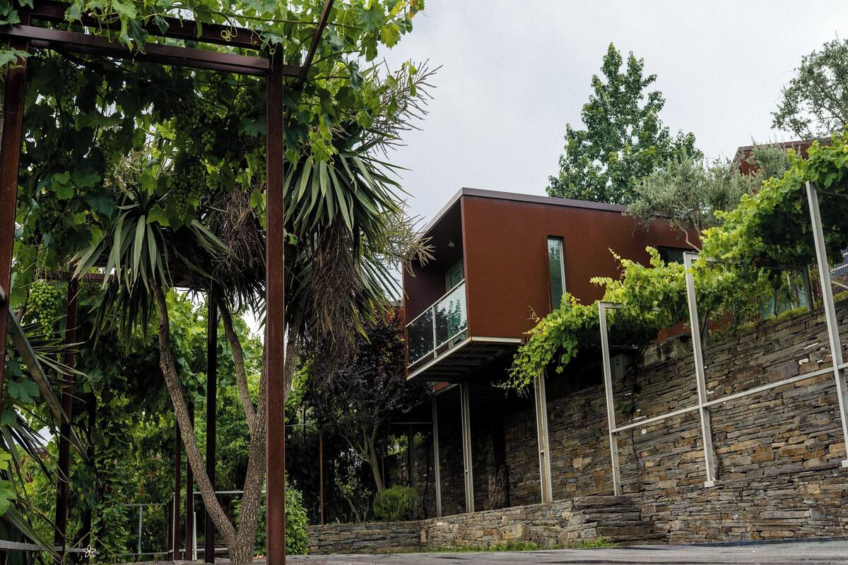 A modern building with a stone facade and a balcony overlooking a garden with grapevines.