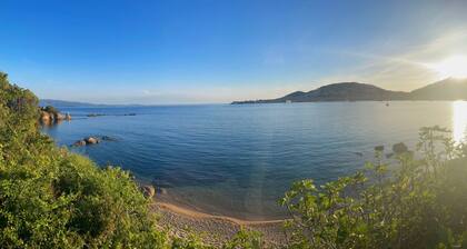 Novaya Suites
