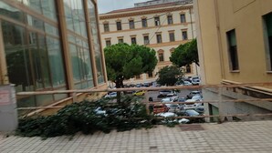 Un patio con un sendero empedrado, un edificio amarillo y un árbol.