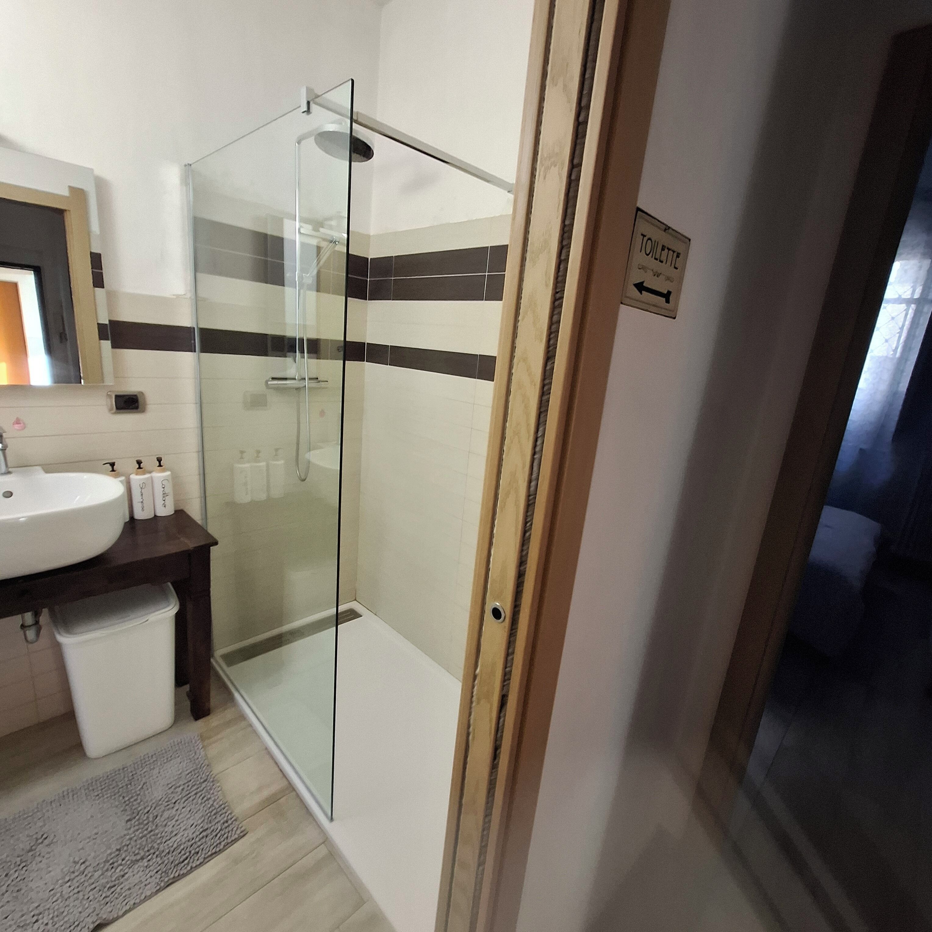 Hair dryer, bidet, towels, soap