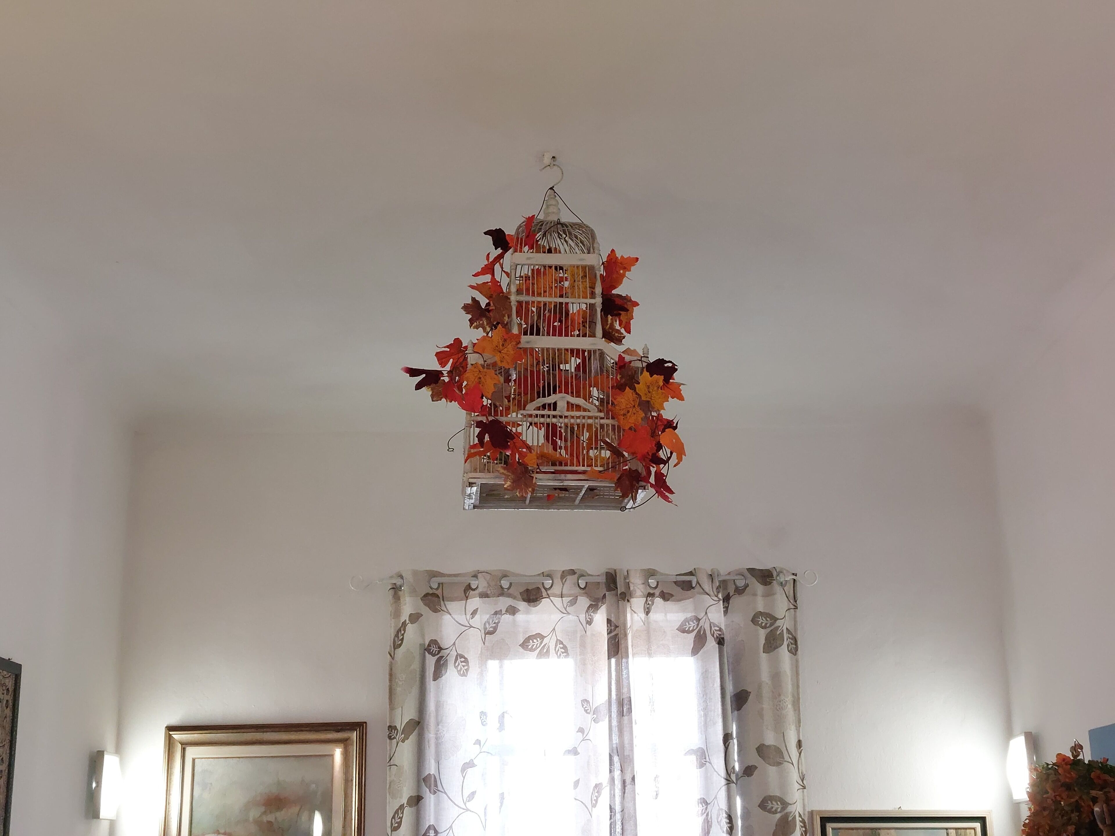 Une pièce avec un plafond blanc, un tableau encadré sur le mur de gauche, une fenêtre ornée de rideaux à motifs floraux et une cage à oiseaux décorée de feuilles d’automne.