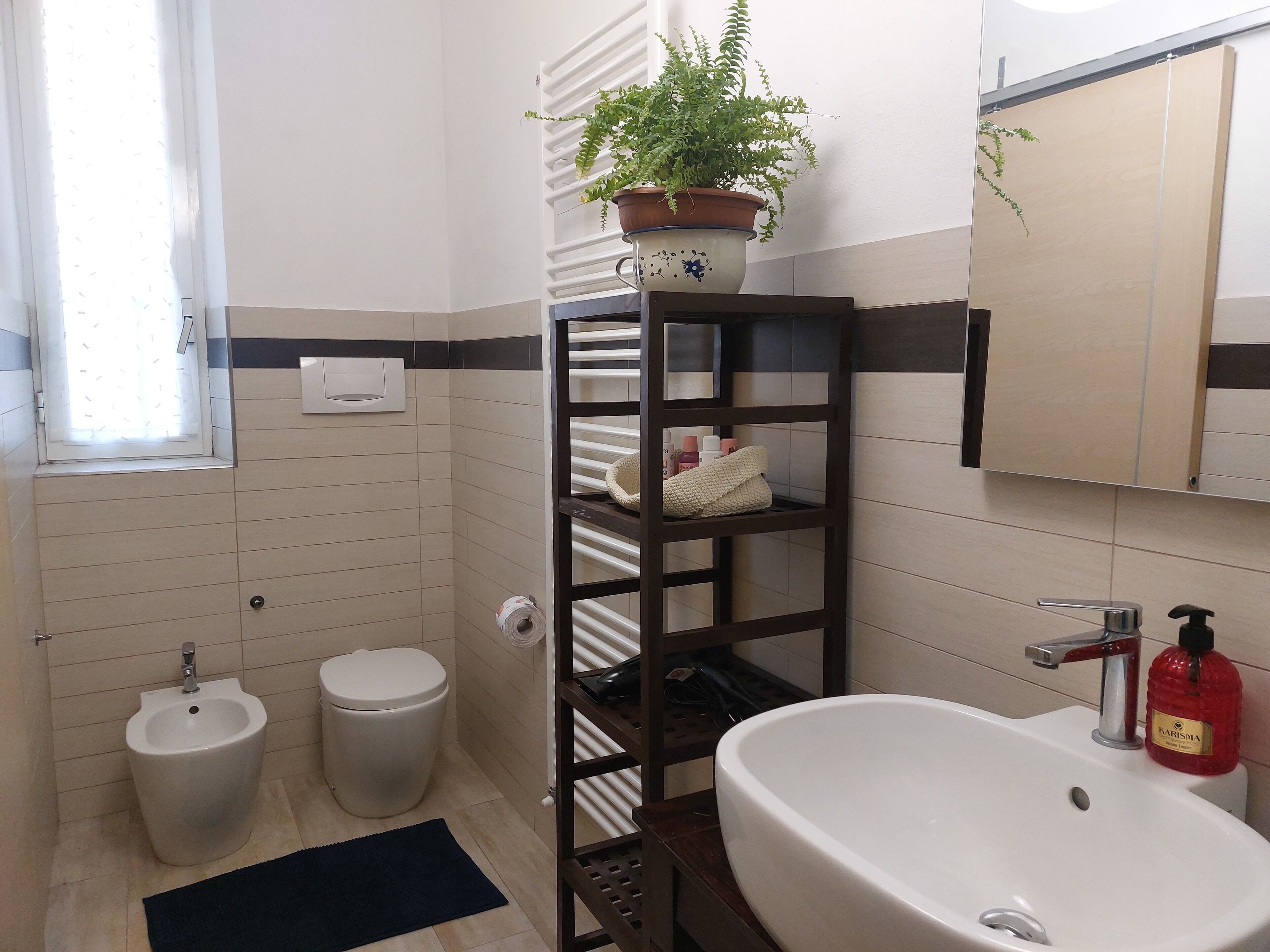 Baño con bidé, lavamanos, espejo, toallero y planta en maceta.