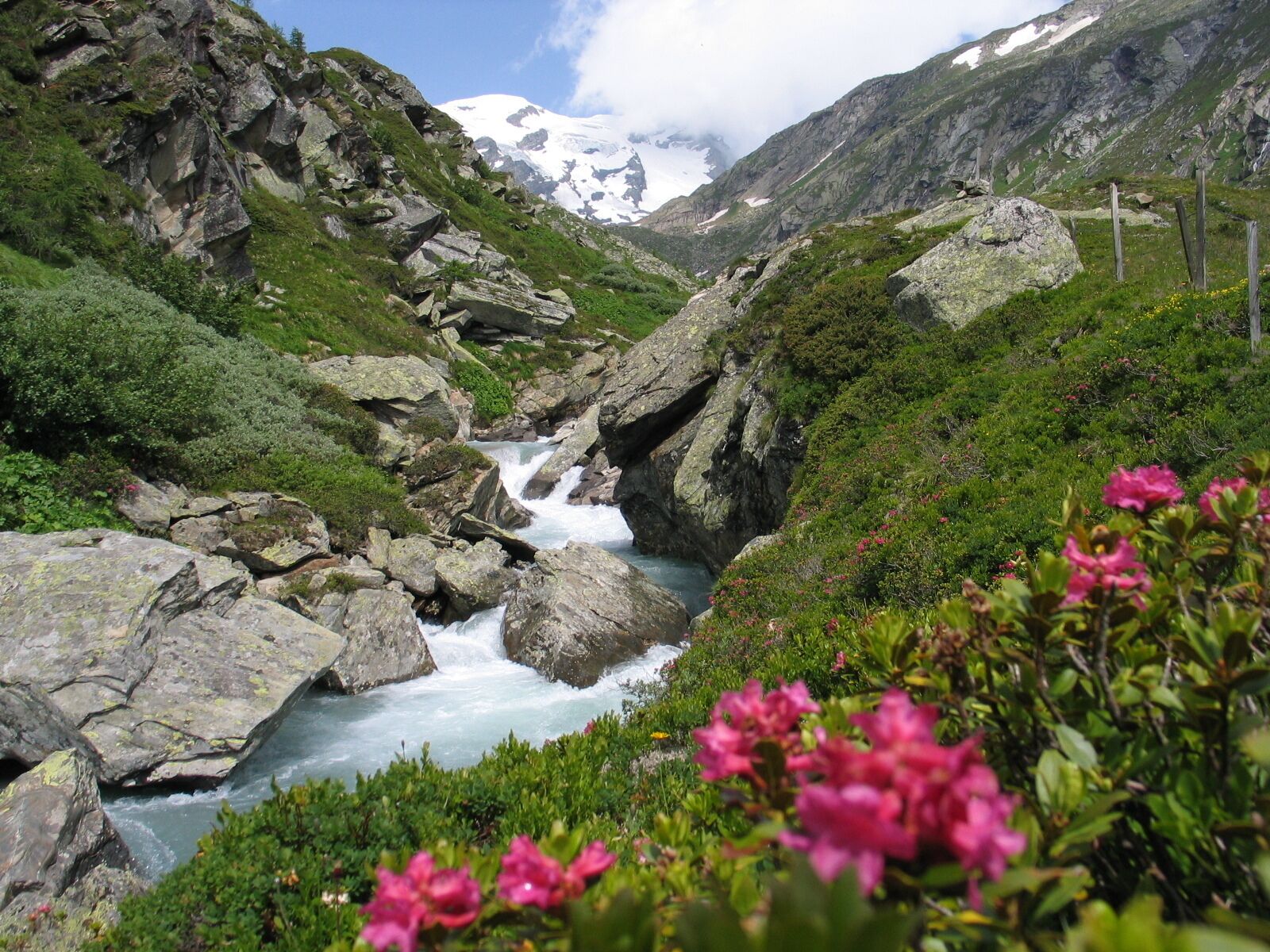 A mountainous landscape with a flowing river, rocky terrain, and green vegetation.