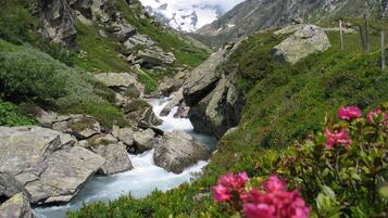 A mountainous landscape with a flowing river, rocky terrain, and green vegetation.
