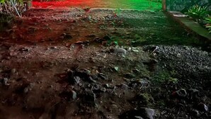 Un espacio de estar al aire libre cubierto con iluminación roja y verde, rodeado de palmeras.