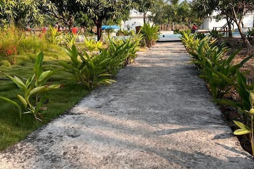Garden view